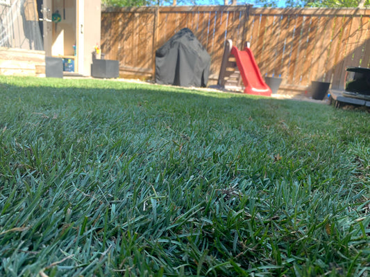 The Environmental Cooling Power of Sod