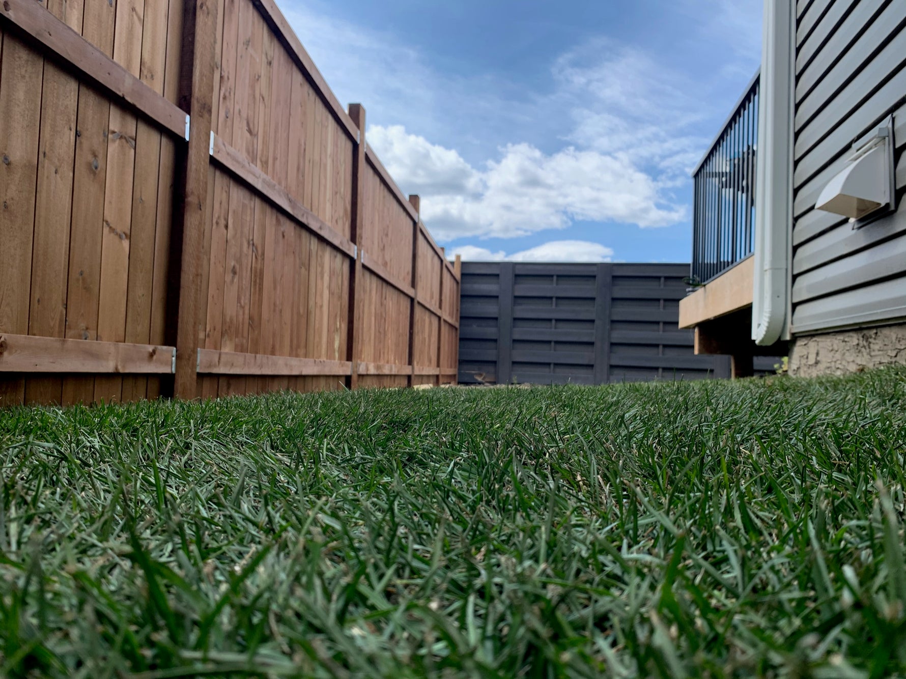 The Impact of Sod on Weed Prevention and Control