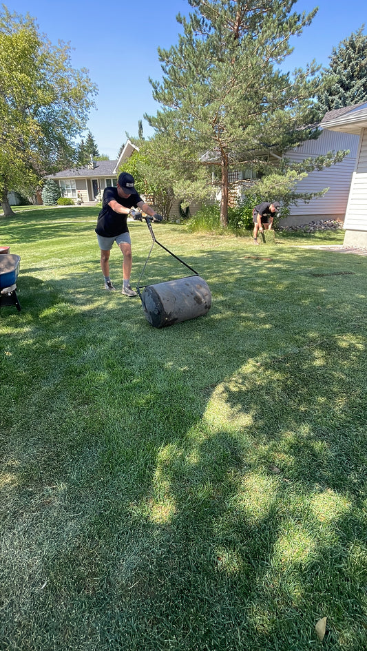 Considerations for Rolling Sod After Installation