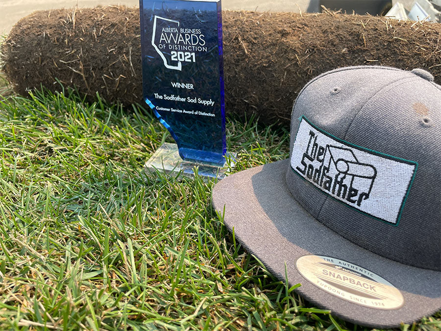 A SodFather branded ballcap and a trophy sitting atop some fresh sod