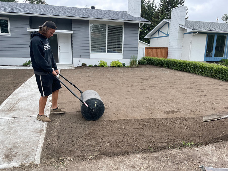 A landscaper preparing the ground with a roller to install fresh sod