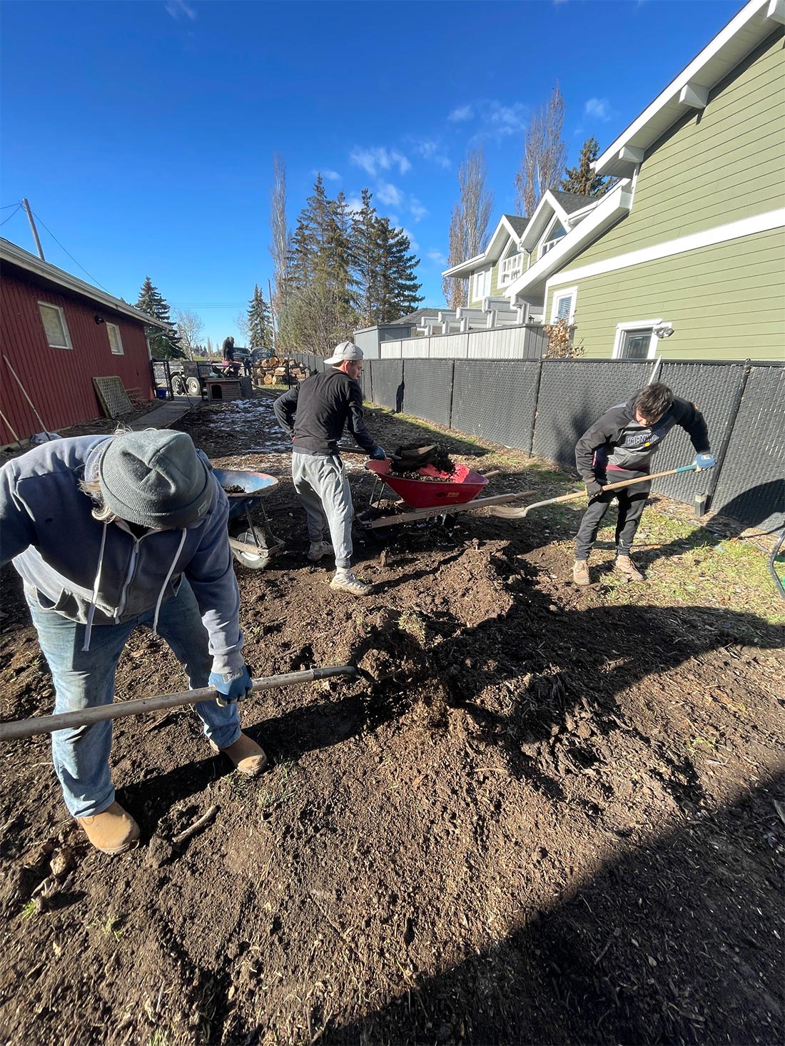 Three landscapers digging with shovels