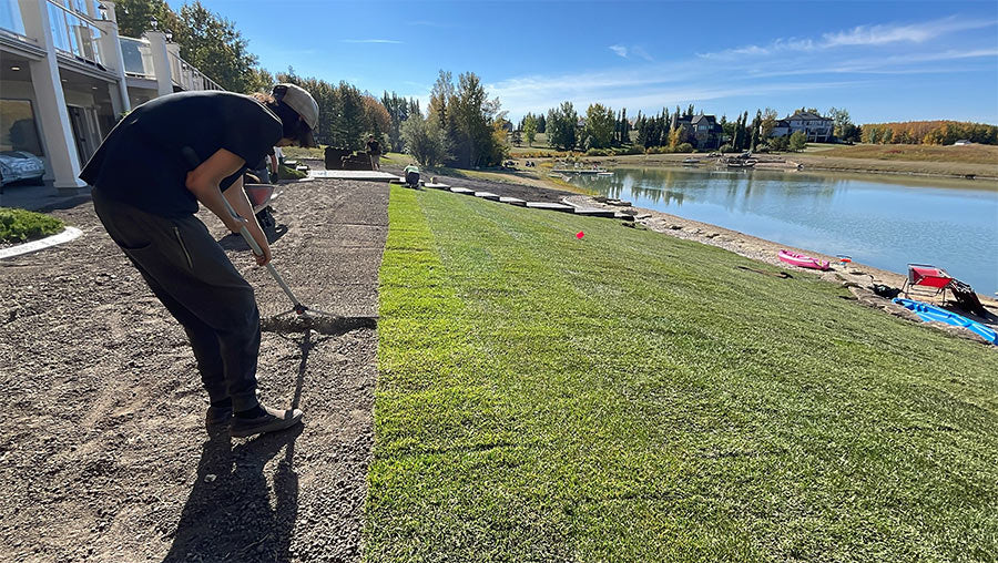 A landscaper installing some fresh sod