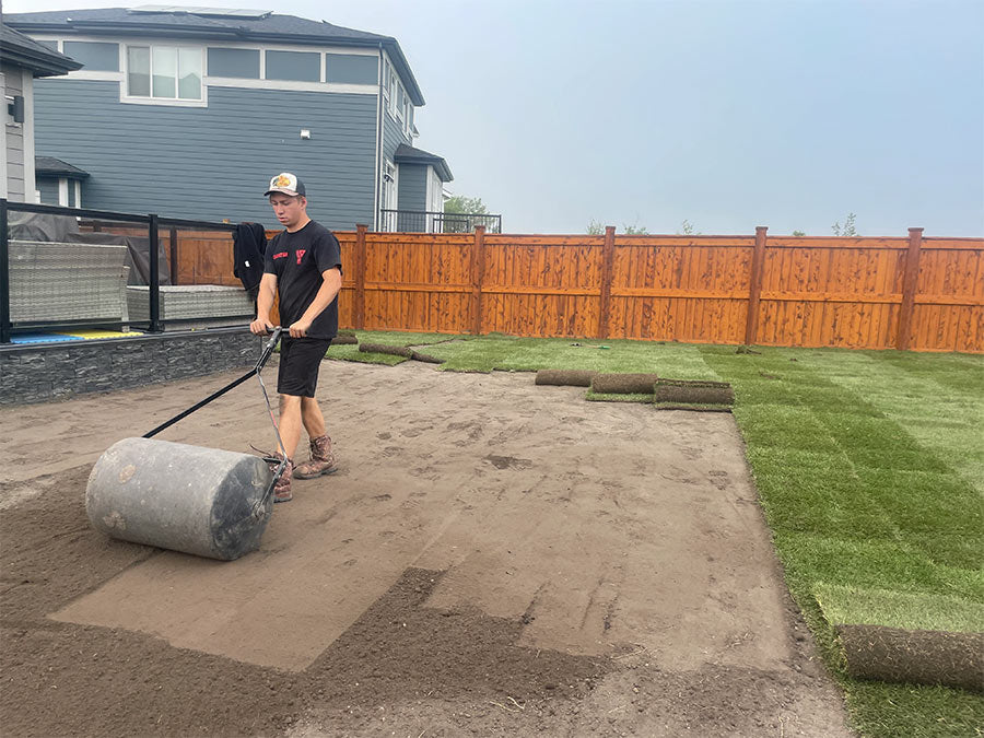 A landscaper using a roller to prepare the ground for fresh sod to be installed