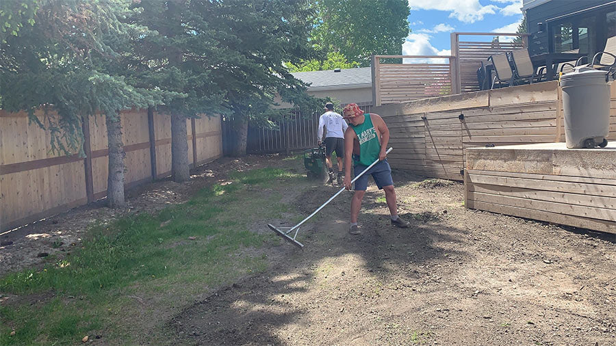 Landscapers installing fresh kentucky bluegrass sod at a residence in Calgary
