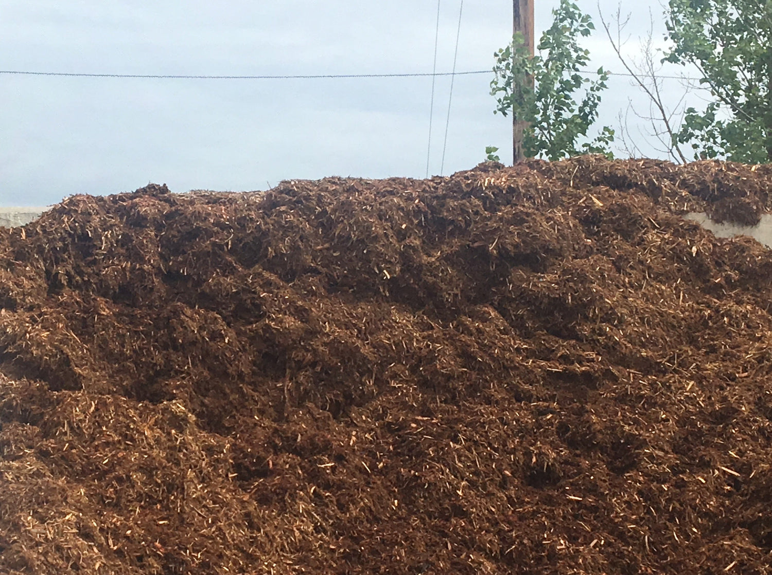 Shredded Cedar Mulch Delivery Included The Sodfather Sod Supply