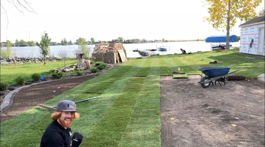 installing fresh sod in the town of chestermere.
